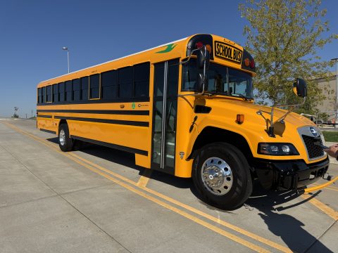 Freshly detailed yellow school bus in full sun